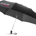 Alex 21.5" foldable auto open/close umbrella